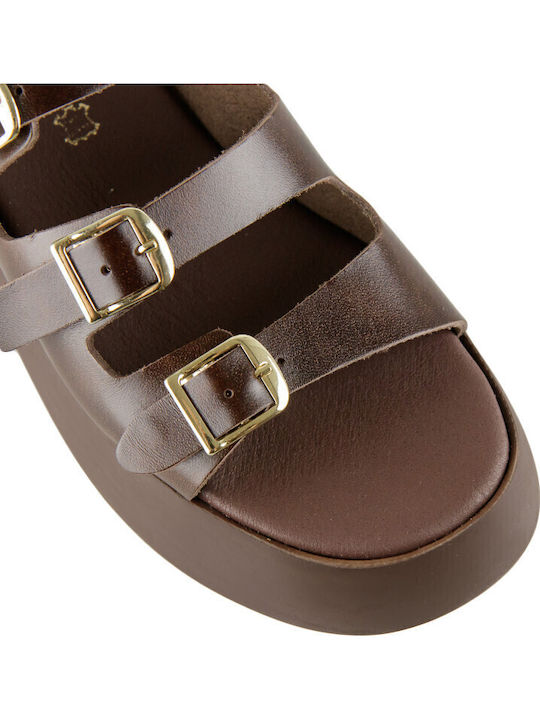 Women's Leather Platform Shoes Brown