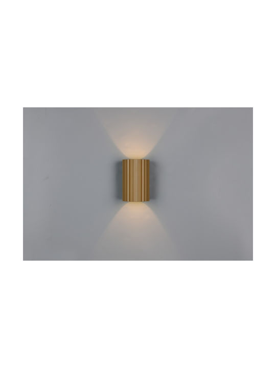 Trio Lighting Imaria Modern Leuchte Wand mit Fassung G9 Braun 8x12cm