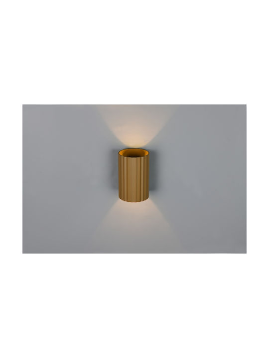 Trio Lighting Imaria Modern Leuchte Wand mit Fassung G9 Braun 8x12cm