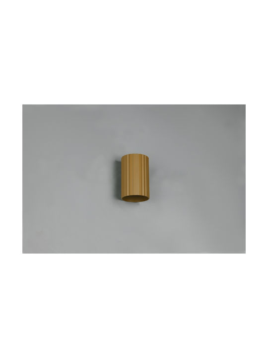 Trio Lighting Imaria Modern Leuchte Wand mit Fassung G9 Braun 8x12cm