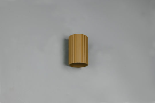 Trio Lighting Imaria Modern Lamp Wall with Socket G9 Brown 8x12cm