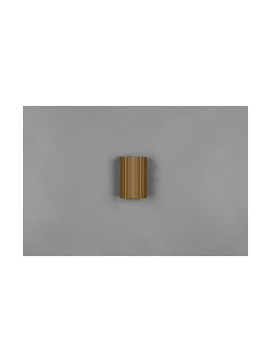 Trio Lighting Imaria Modern Leuchte Wand mit Fassung G9 Braun 8x12cm