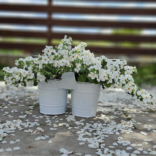 Ibergarden Pot Metallic 10.3x10.3x20cm.