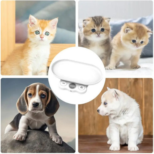 Scale Small Pets
