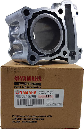 Yamaha Motorcycle Pistons & Cylinders Set 57mm for Yamaha Crypton-X135