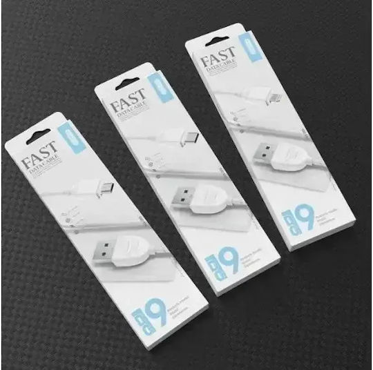 Ezra DC19-TPC USB 2.0 Cable USB-C male - USB-A male White 1.2m (DC19-TPC)