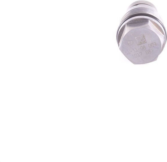 Bosch Car Fuel Pressure Valve