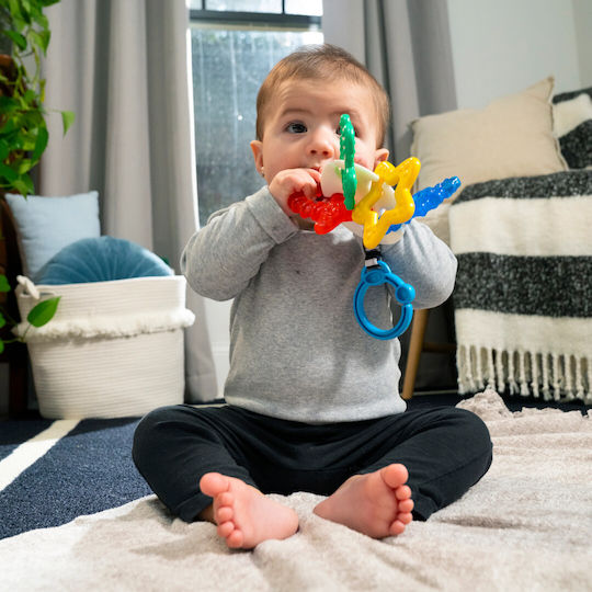 Baby Einstein Βρεφικό Παιχνίδι με Μουσική