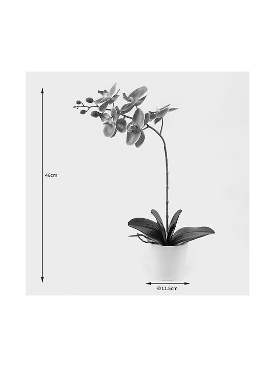 Decorative Potted Plant Orchid Beauty Inart 30x13x46cm