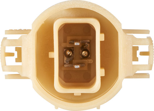 Bulb Rear Fog Lamp Bosch 1 987 302 266