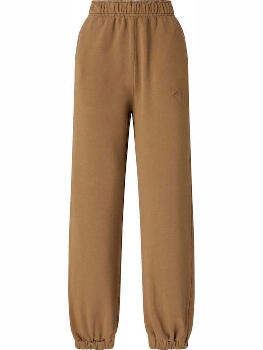 Pazzo Women's Fabric Trousers Brown