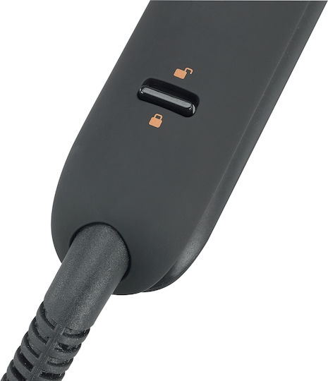 HairTech Infrared Πρέσα Μαλλιών με Ατμό Ionic