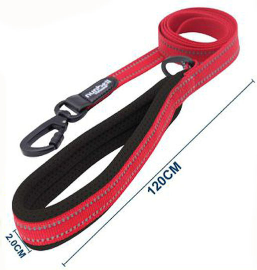 Nunbell Pet Hundeleine/Führleine Schulung Riemen in Rot Farbe