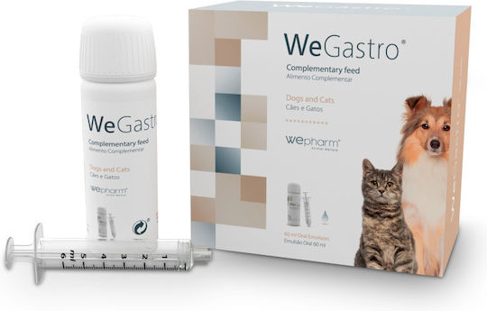 Wepharm Wegastro Πολυβιταμίνες Σκύλου και Γάτας σε Σιρόπι 60ml για Ενίσχυση Οργανισμού