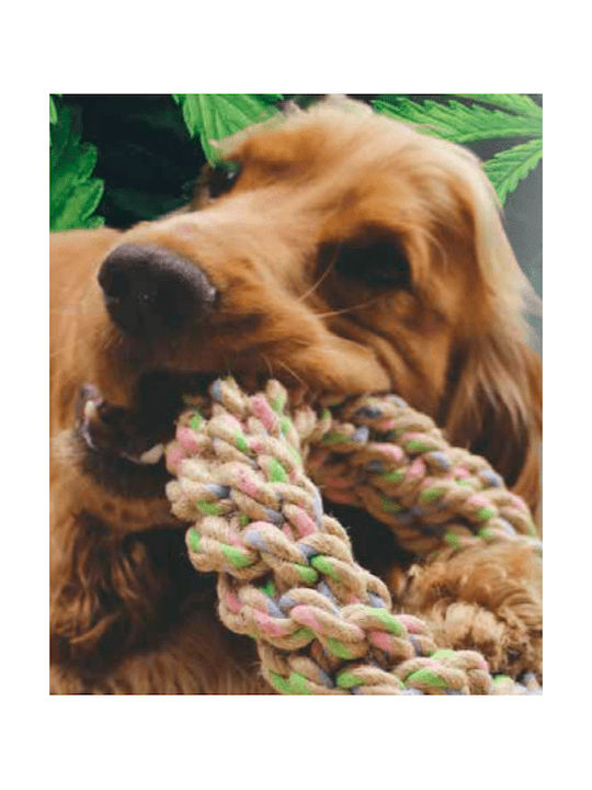 Schulung Hundespielzeug Hund 20cm