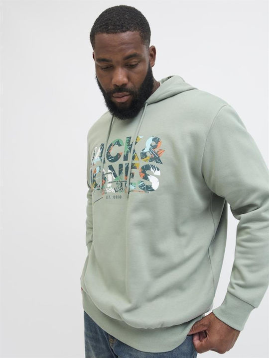 Sweat Sweatshirt mit Kapuze Iceberg