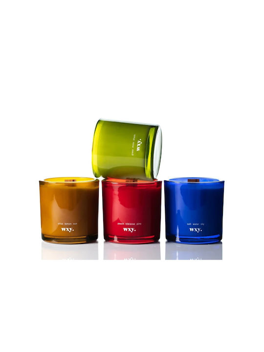 wxy. Aromatic Candle in Jar with Perfume Roam 350g