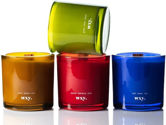 wxy. Aromatic Soy Candle in Jar with Perfume Roam 350g