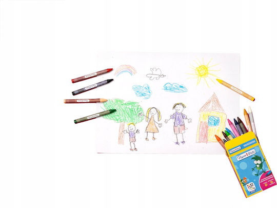 Paper Mate Set de creioane colorate cu 16 culori