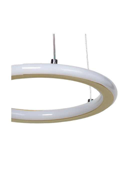 Keskor Pendant Light Gold 21x21x80cm