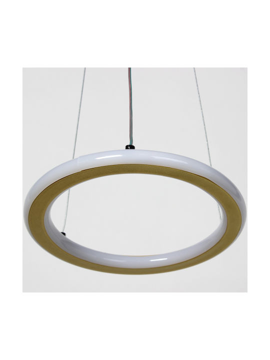 Keskor Pendant Light Gold 21x21x80cm