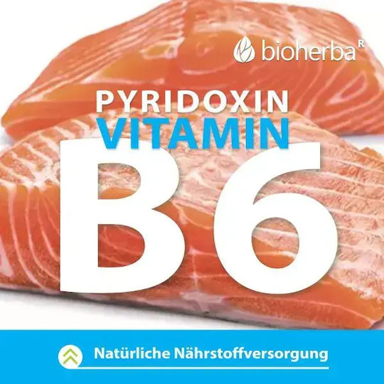 Bioherba 270мг 100 капси