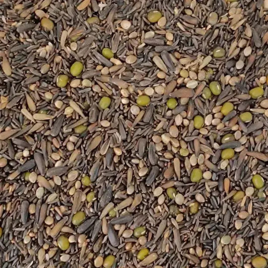 Pico Semi Germinable – Sprout Seed Mix 5kg