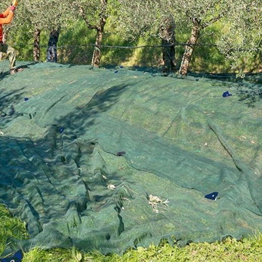 Dream House Olive Net 6x12m Density 85gr/m²