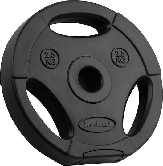 Scheibenset 4 x 2.5kg Ø31mm mit Griffen