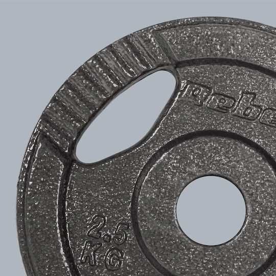 Set of Plates Metal 4 x 2.5kg Ø31mm with Handles