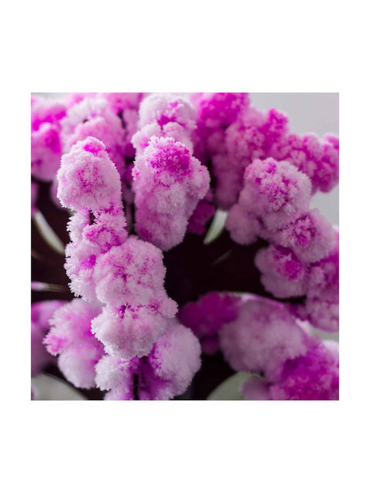 Gadget Mad Monkey Magic Sakura Cherry Blossom Tree