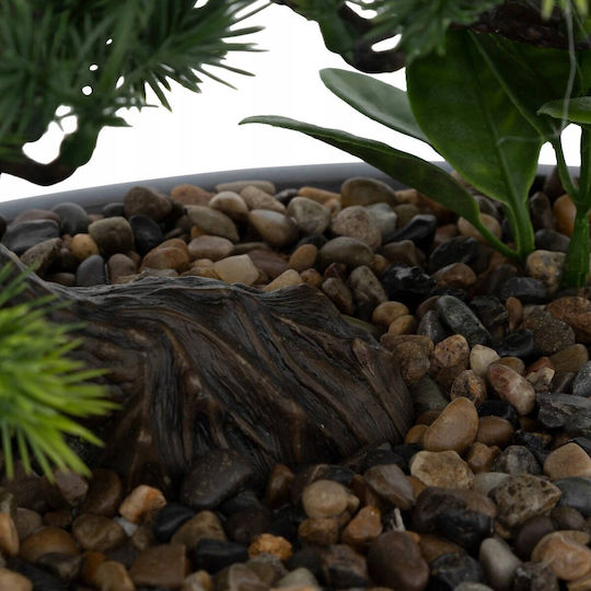 Bonsai Μπονζάι σε Γλαστράκι 25cm Atmosphera