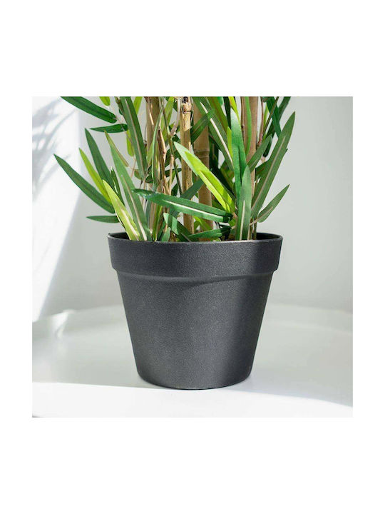 Μπαμπού σε Γλάστρα 90cm JK Home Decoration