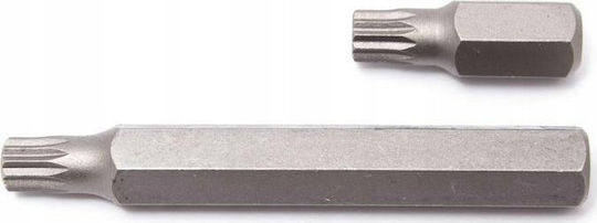Rockforce Μύτη Spline M10x10mm L-75mm
