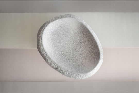 Secret de Gourmet Πιάτο Ρηχό Γκρι με Διάμετρο 24cm