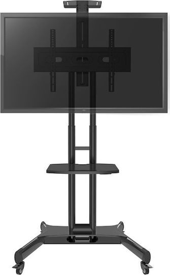 Hagor HP Twin Stand Βάση Τηλεόρασης Δαπέδου έως 55" και 50kg
