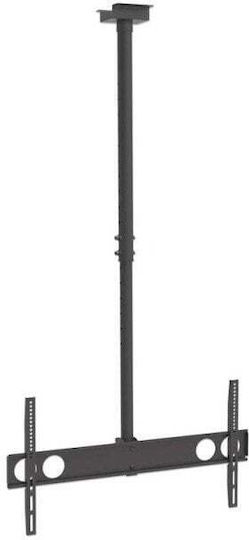Manhattan 423625 Βάση Τηλεόρασης Οροφής έως 70"