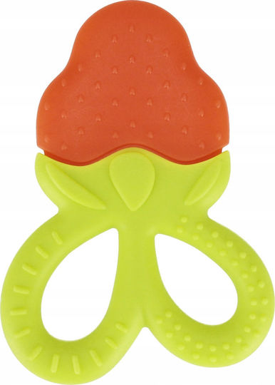 Bambam Bam Bam Strawberry Teether 9x14x2 Case 188