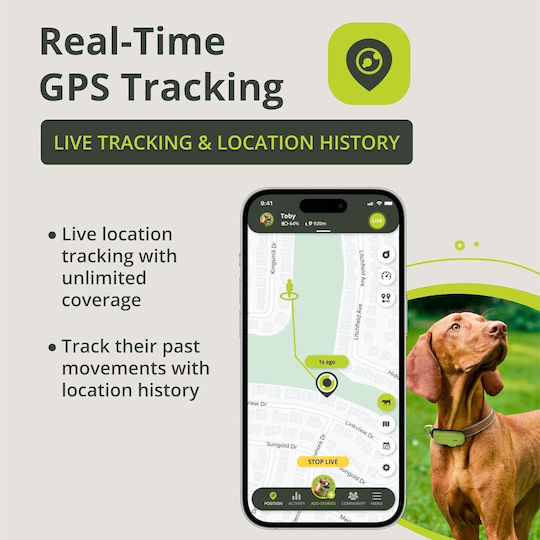 Real-time Zgardă GPS Electrică pentru Câini