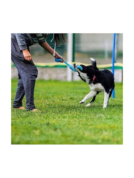 Dingo Плюшена Игра Куче 1бр