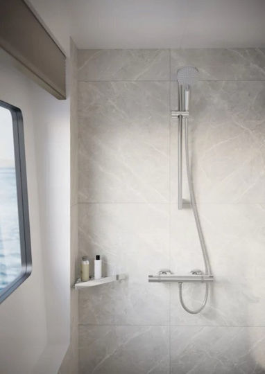 Hansgrohe Handheld Showerhead with Hose