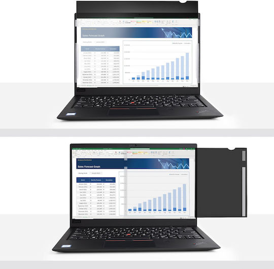 StarTech Φίλτρο Οθόνης για Laptop 17.3" S55244934