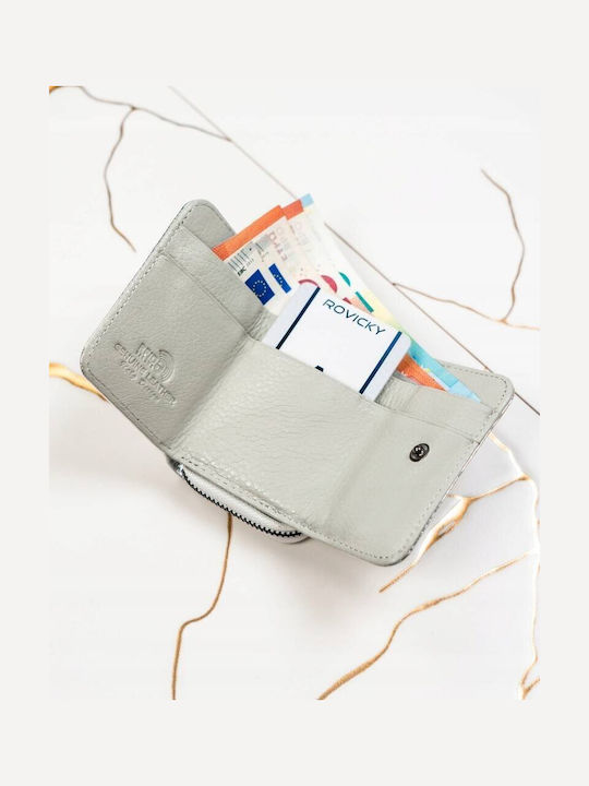 Klein Leder Damen Geldbörse Klassisch mit RFID Silber