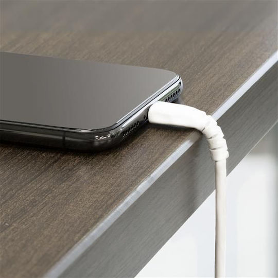 StarTech USB to Lightning Cable Λευκό 2m (RUSBLTMM2M)