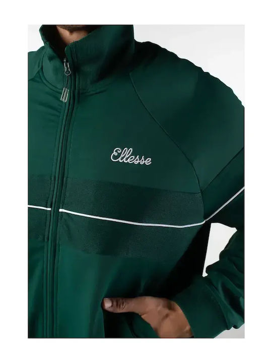 Carey Sweatshirt Olive