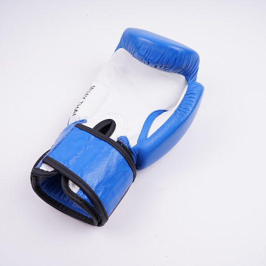 Everlast Boxhandschuhe Leder für Kampf Blau