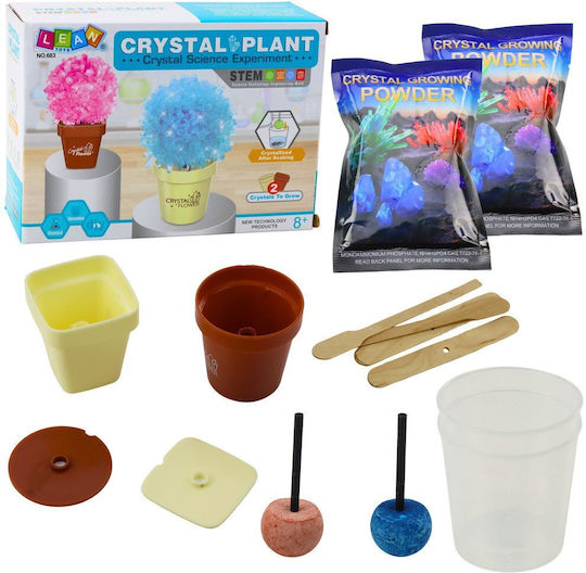 Educational Set Crystal Tree Magic Growing Kit