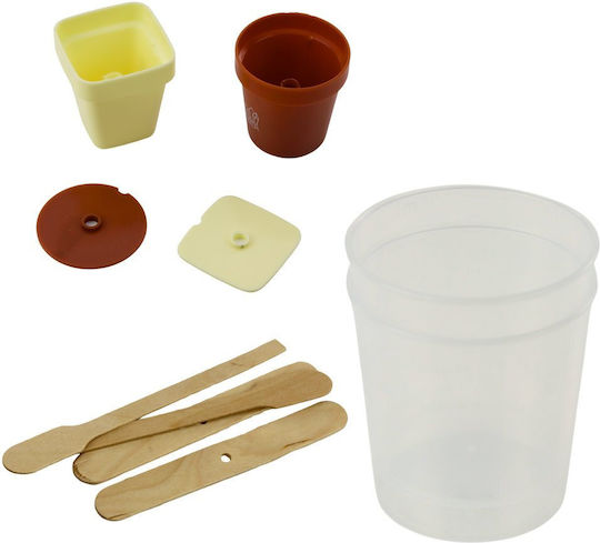 Educational Set Crystal Tree Magic Growing Kit