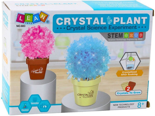 Educational Set Crystal Tree Magic Growing Kit