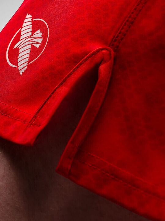 Kickboxing Shorts Hayabusa Arrow Red